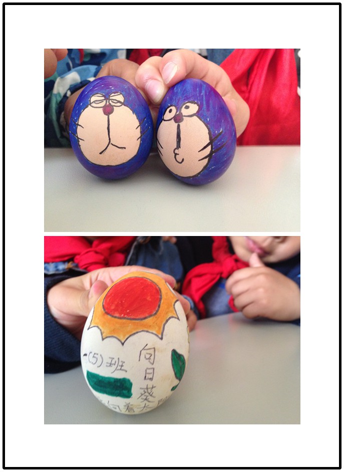 美蛋.jpg
