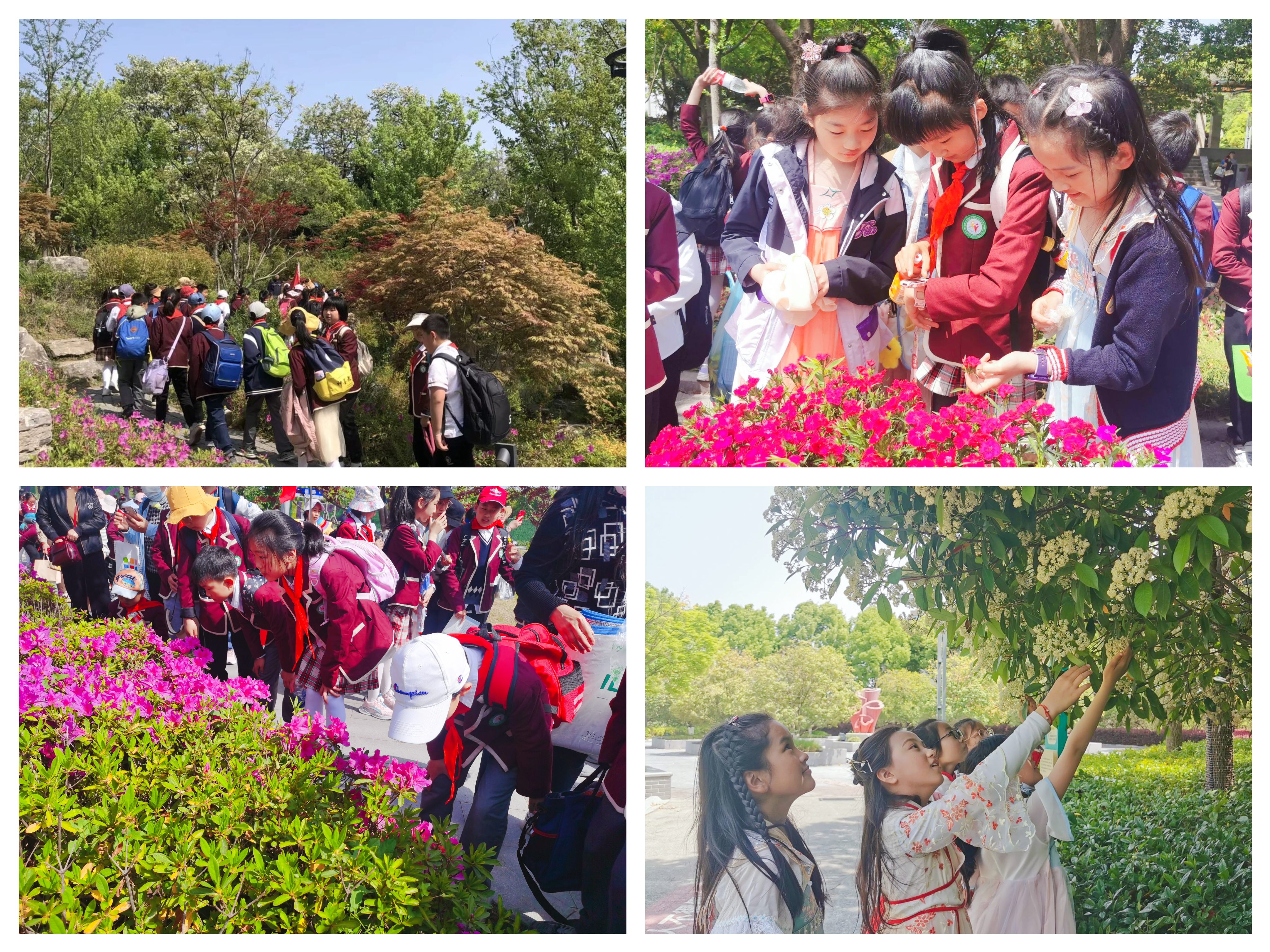 2cda339cf850425a8e2a81948a7feac7.jpg 2cda339cf850425a8e2a81948a7feac7.jpg