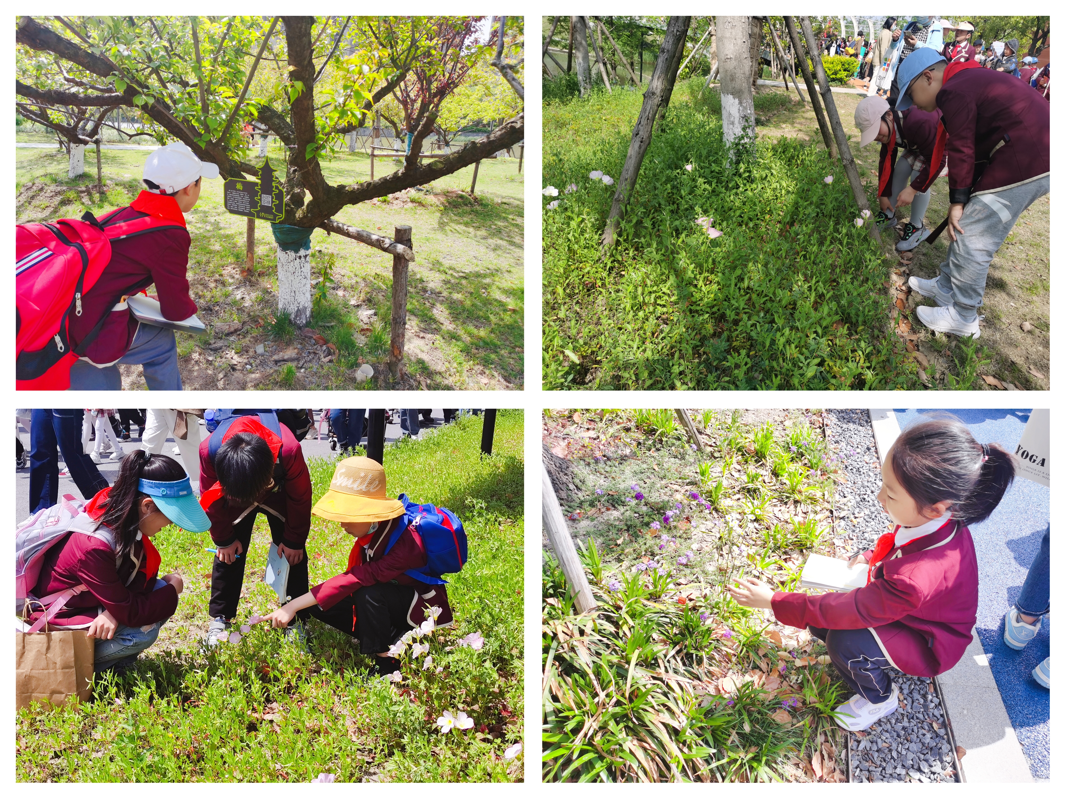 fdbe578f54e64abbbdba0aac6c44404e.jpg fdbe578f54e64abbbdba0aac6c44404e.jpg