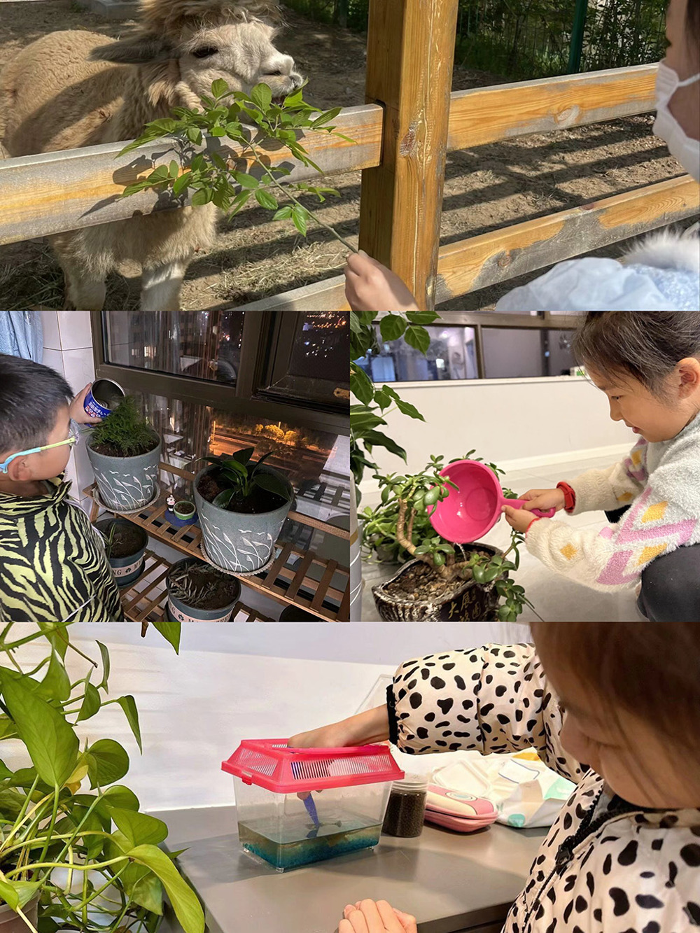 61e944dd25be4e6e8410429b2b22afca.jpg 61e944dd25be4e6e8410429b2b22afca.jpg