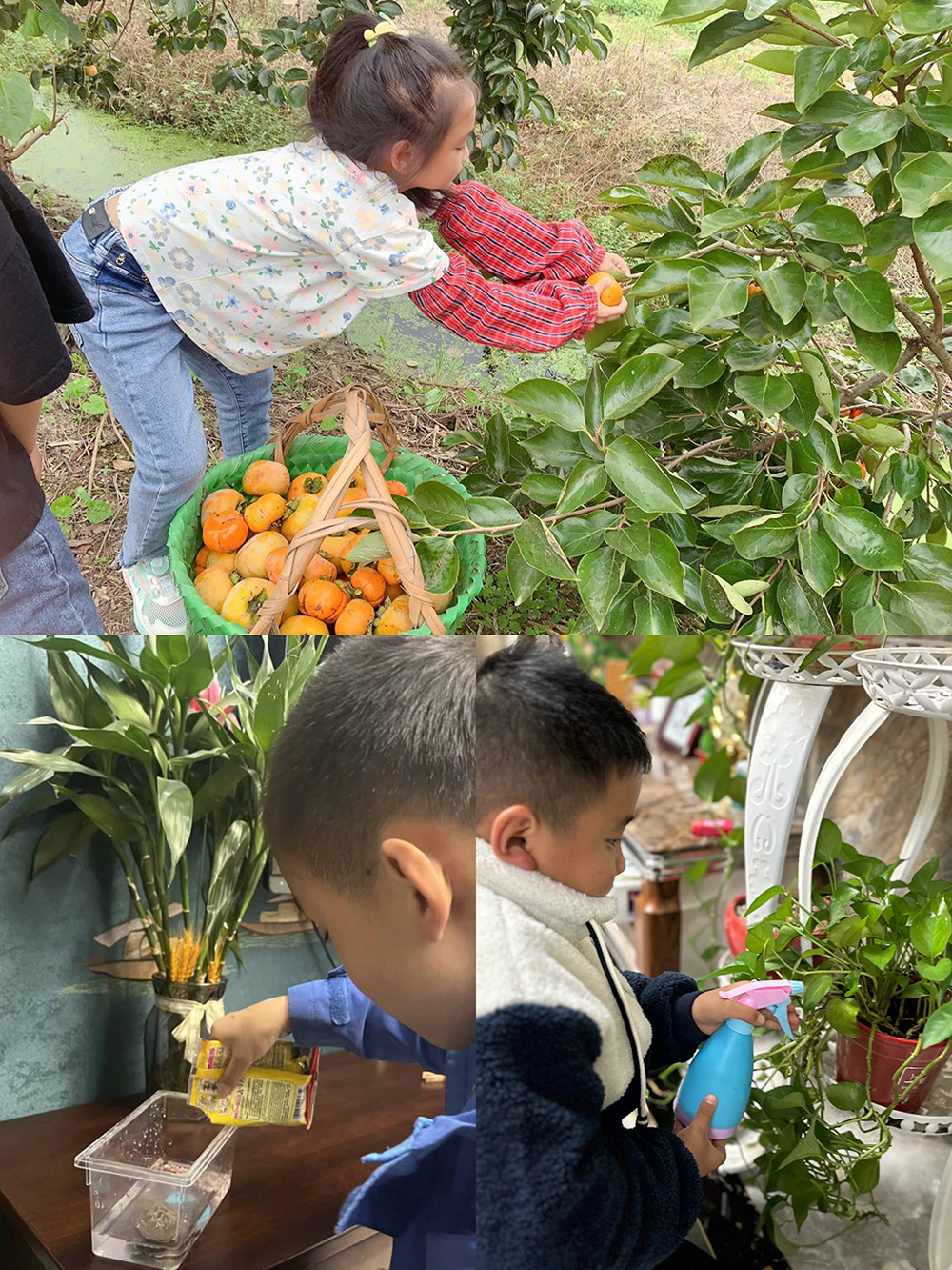 aad7d2823d33473fb8cfd358458a1c97.jpg aad7d2823d33473fb8cfd358458a1c97.jpg