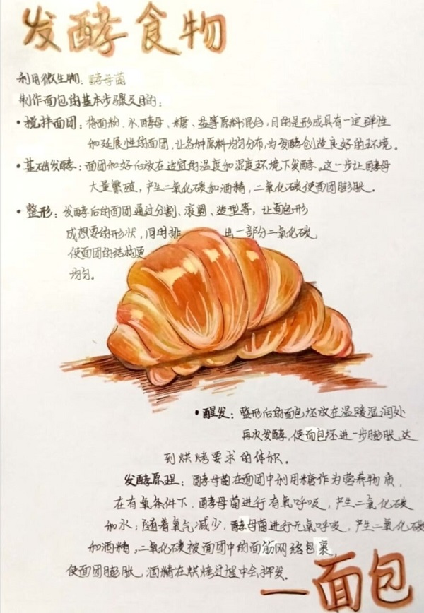 3ae013210e2f43a081a6ae5a5958ce65.jpg 3ae013210e2f43a081a6ae5a5958ce65.jpg